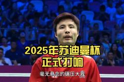 开云APP-印尼队完胜马来西亚队，石宇奇统治全场的简单介绍