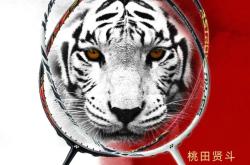 开云下载-马来西亚队碾压法国队，桃田贤斗扛起全队的简单介绍