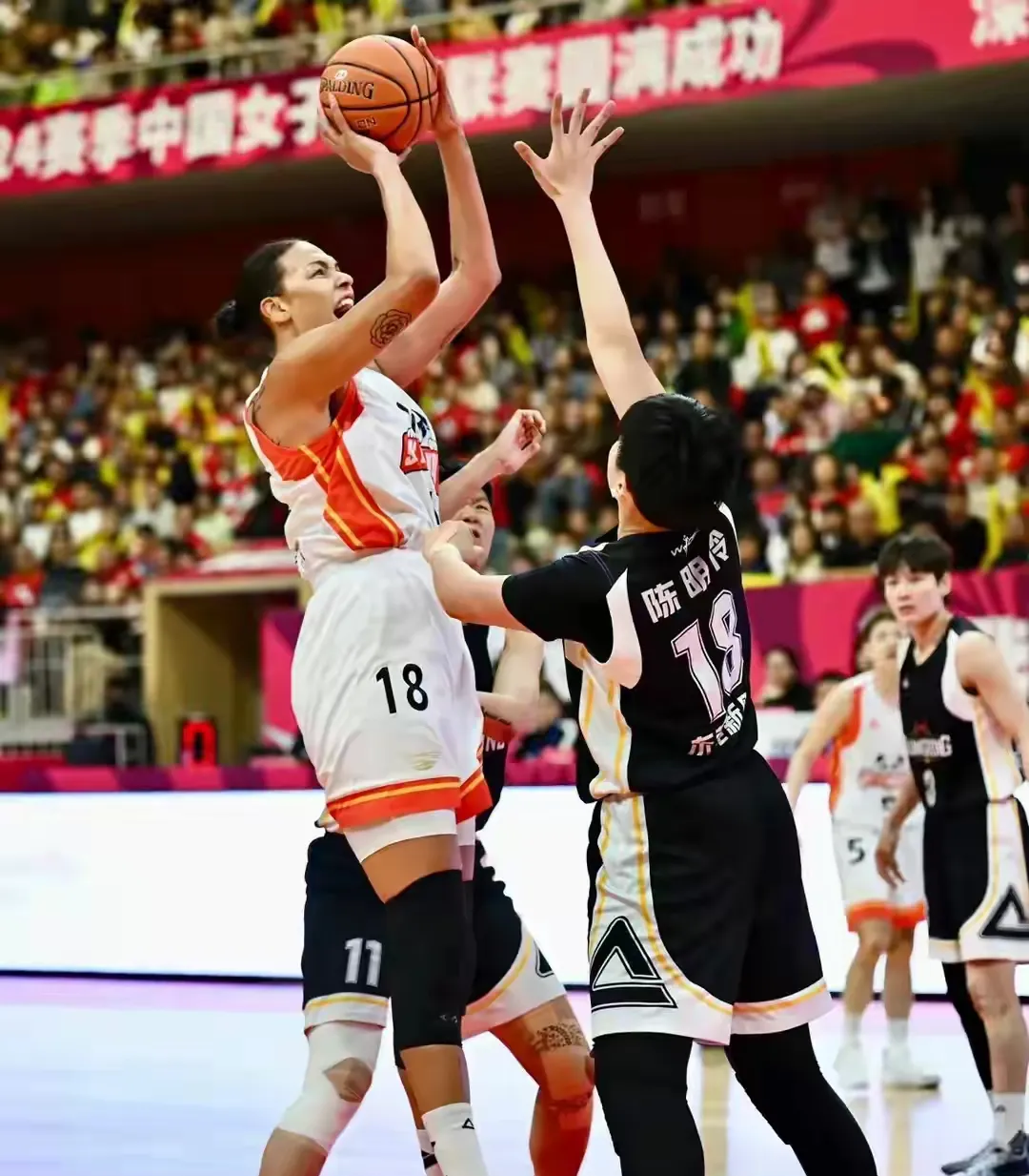 四川队惨败福建，遗憾止步季后赛的简单介绍