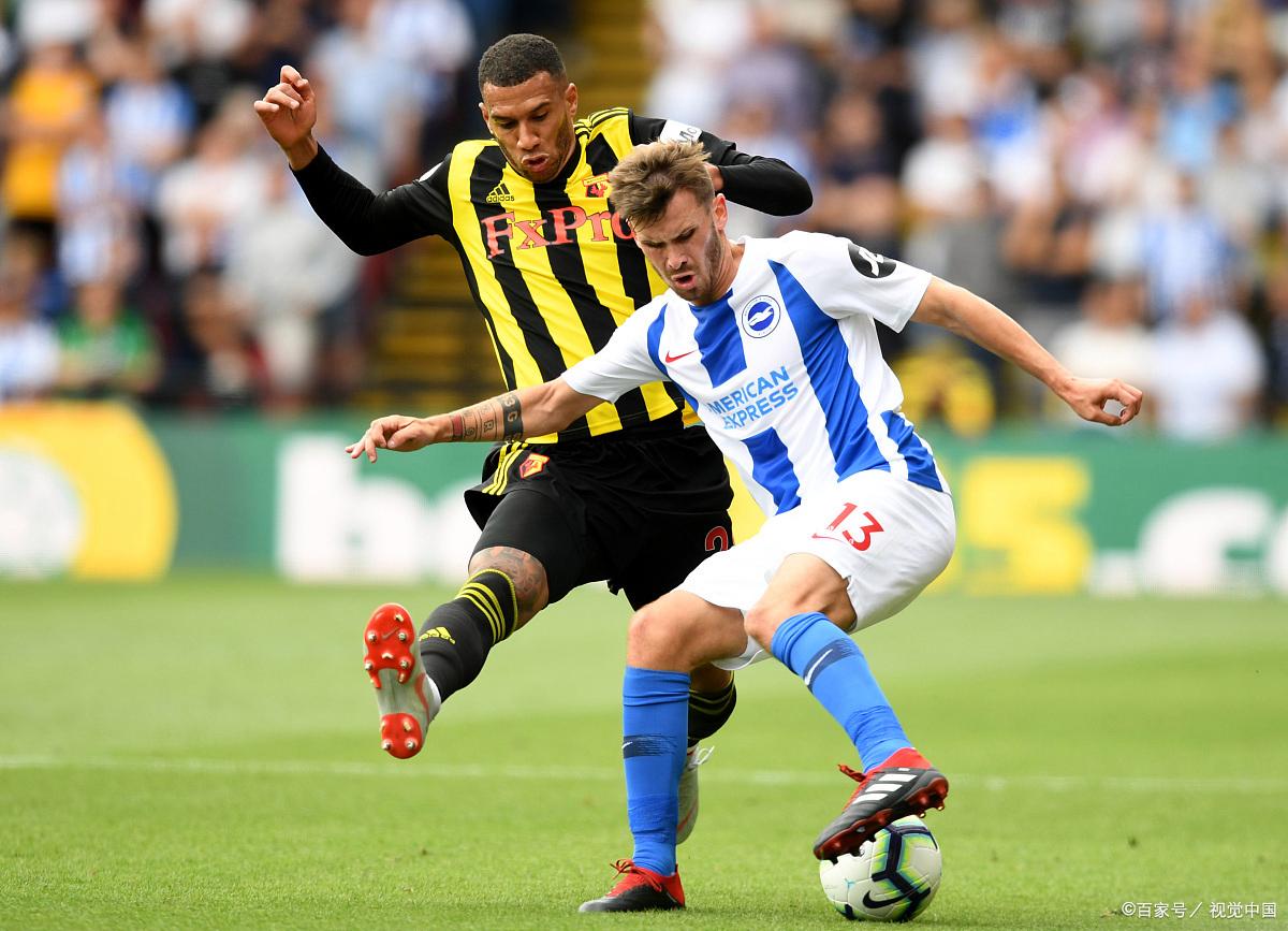 布莱顿主场-淘汰埃尔夫斯堡晋级的简单介绍