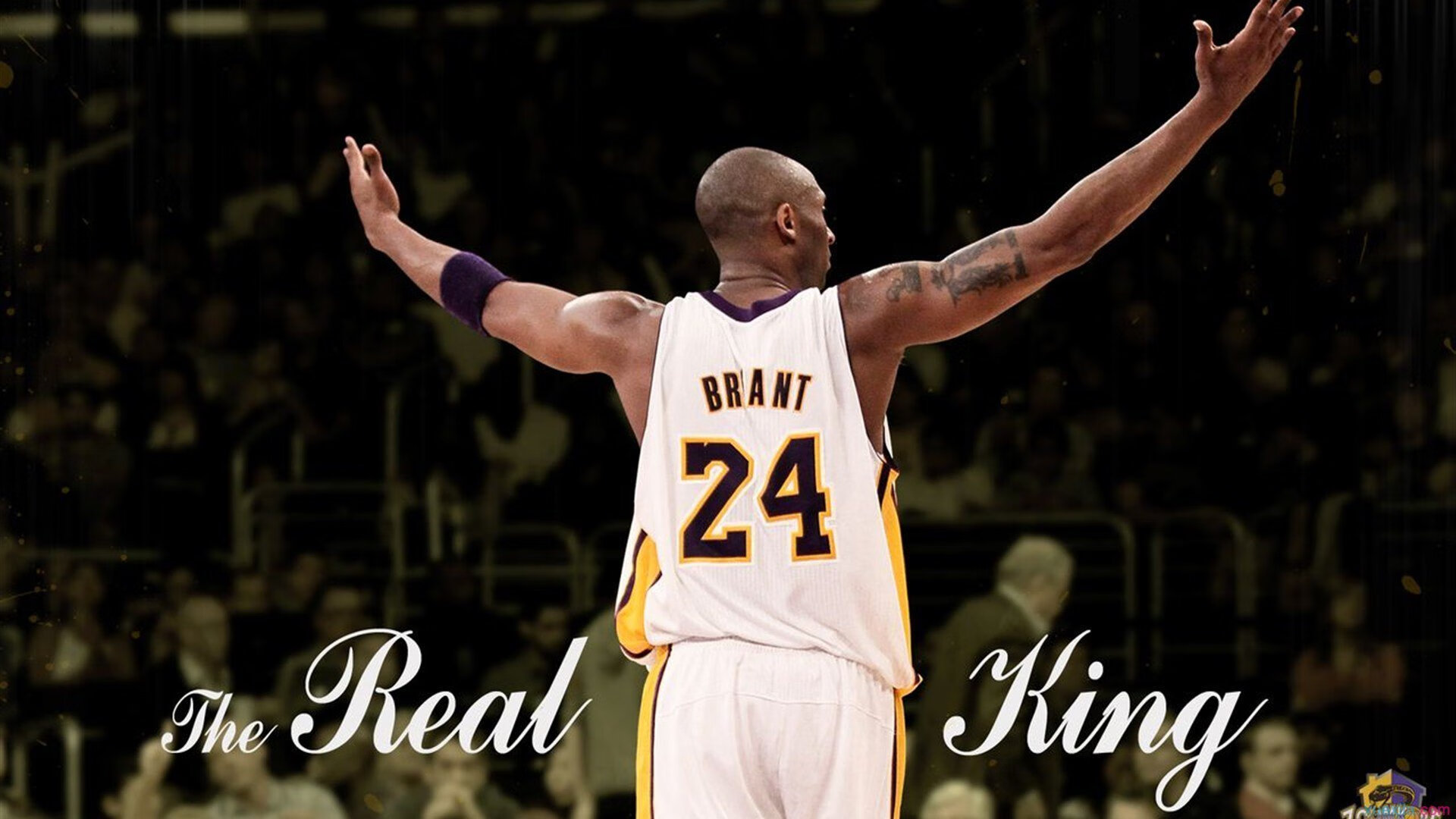 武切维奇跨越时空的焦点之战，当深圳队遇见灰熊